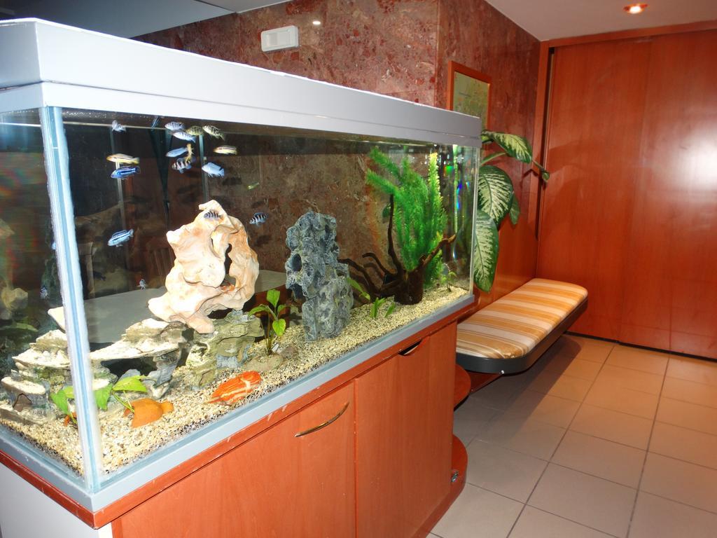 Hotel Moderno Грумелло-дель-Монте Экстерьер фото